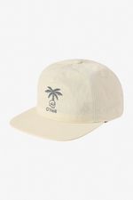 Gorras-Hombre-Cafe-SP5196002-KHA2-1