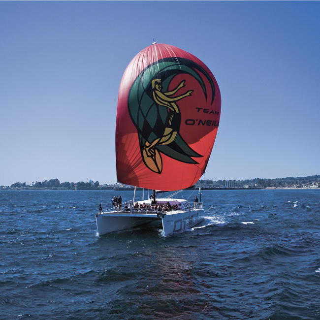 Sea Odyssey